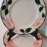 Ensemble de 6 assiettes plates Wild Rose Villeroy et Boch
