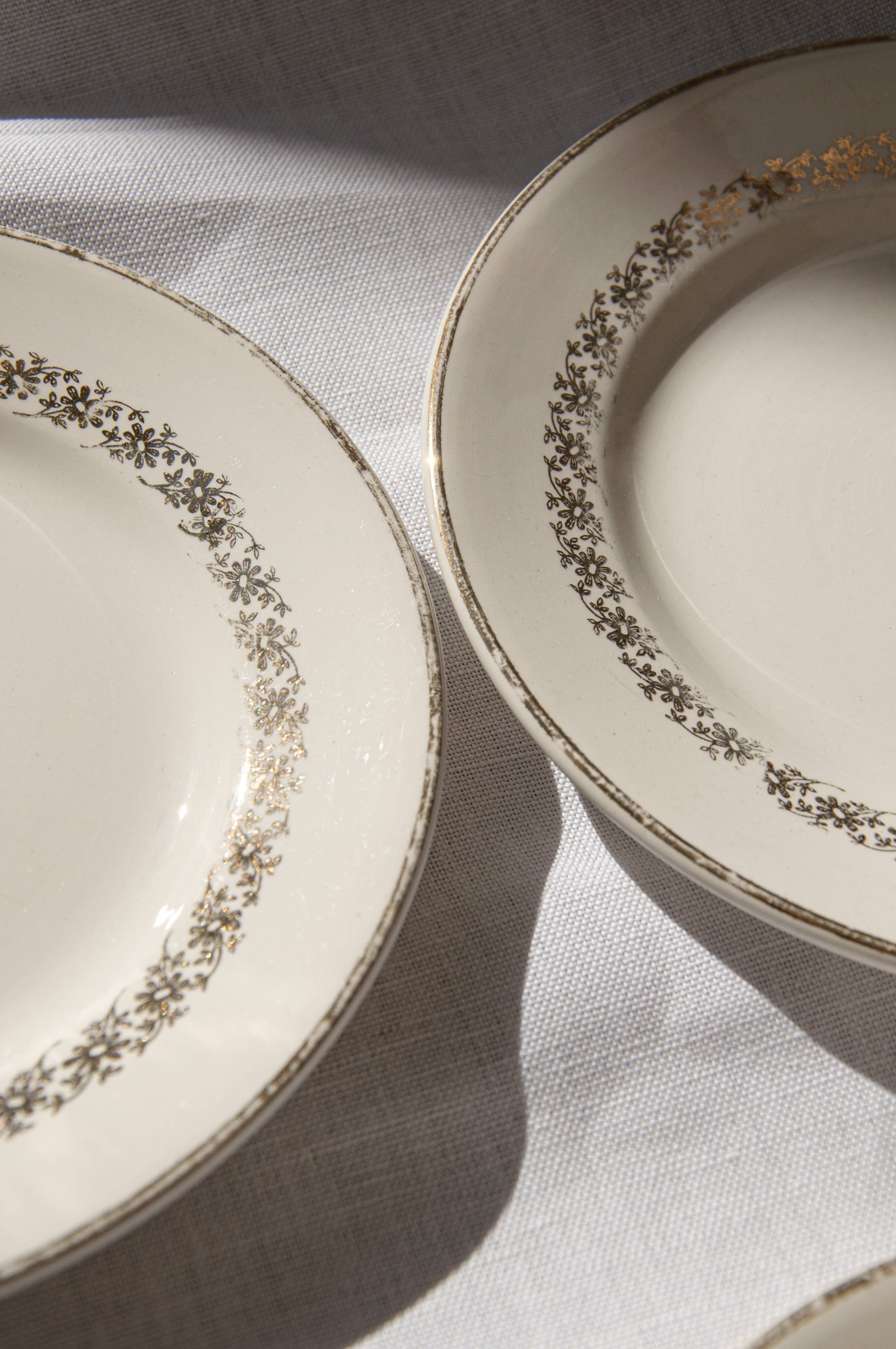 Digoin & Sarreguemines dessert plates