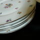 Set de 12 assiettes plates Limoges décor fleuri