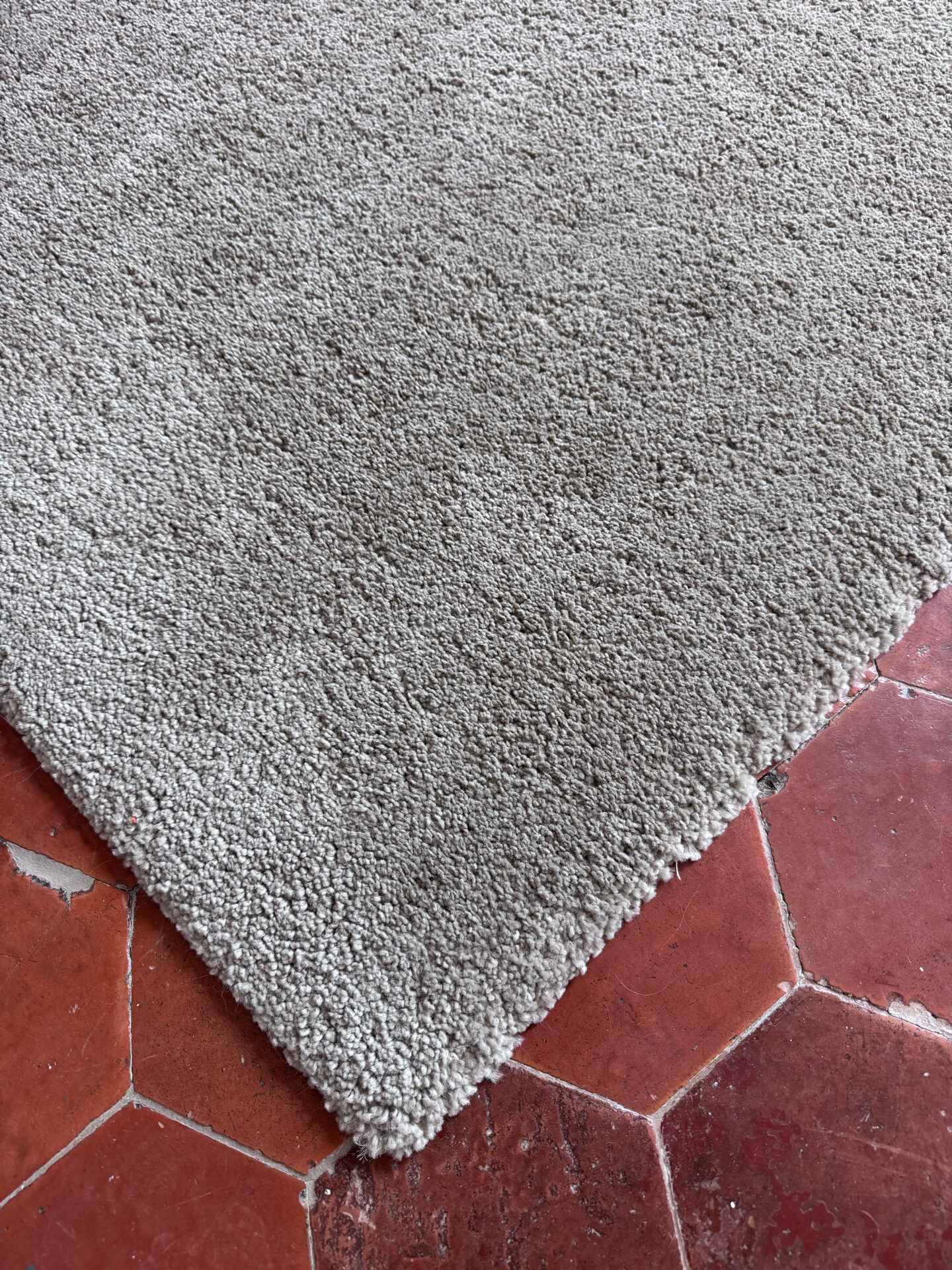 Tapis stoense – poils ras beige 170x240 cm