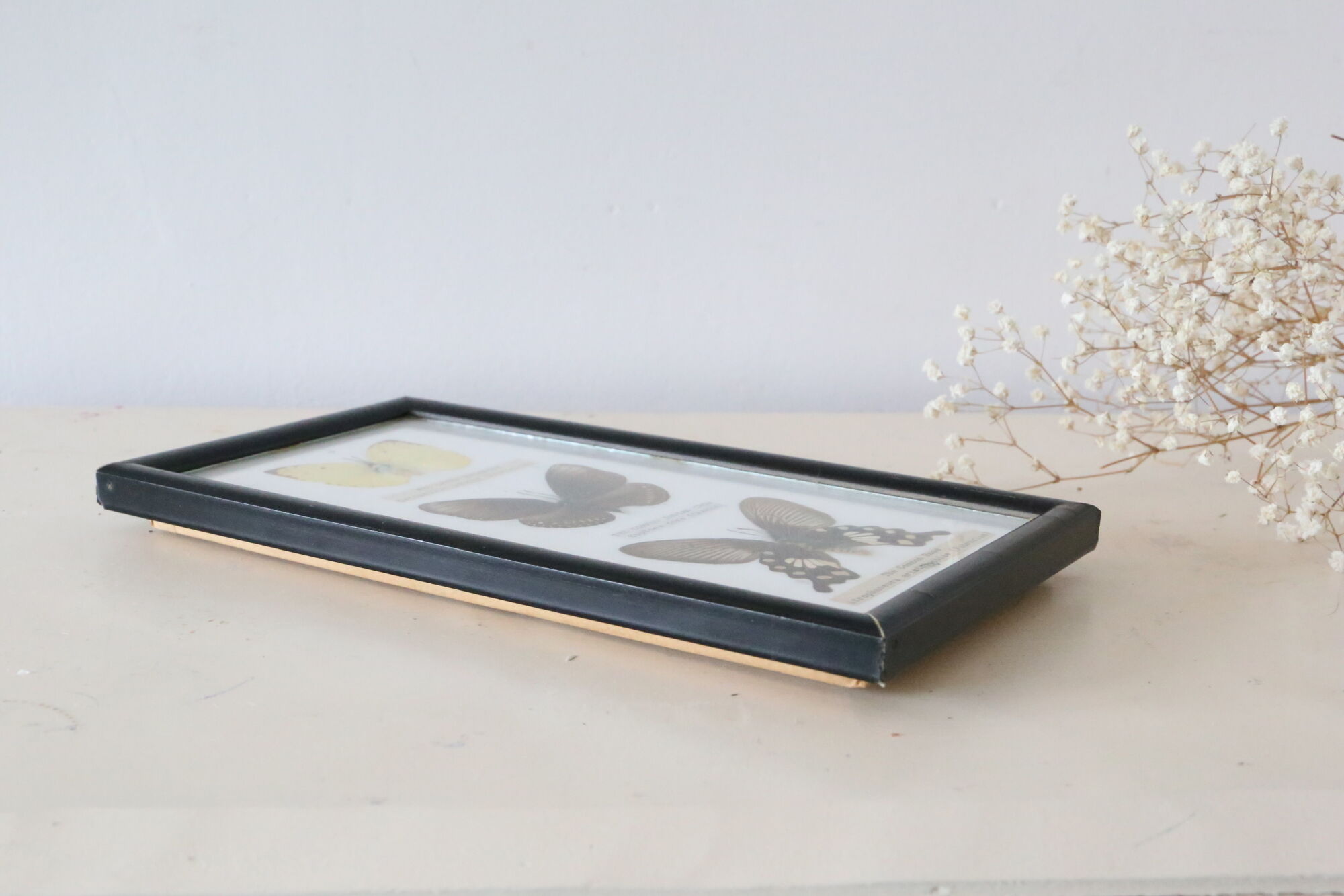 Naturalized butterfly frame