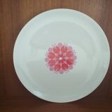 Set of 11 dinner plates from the 1970s of Thomas Germany