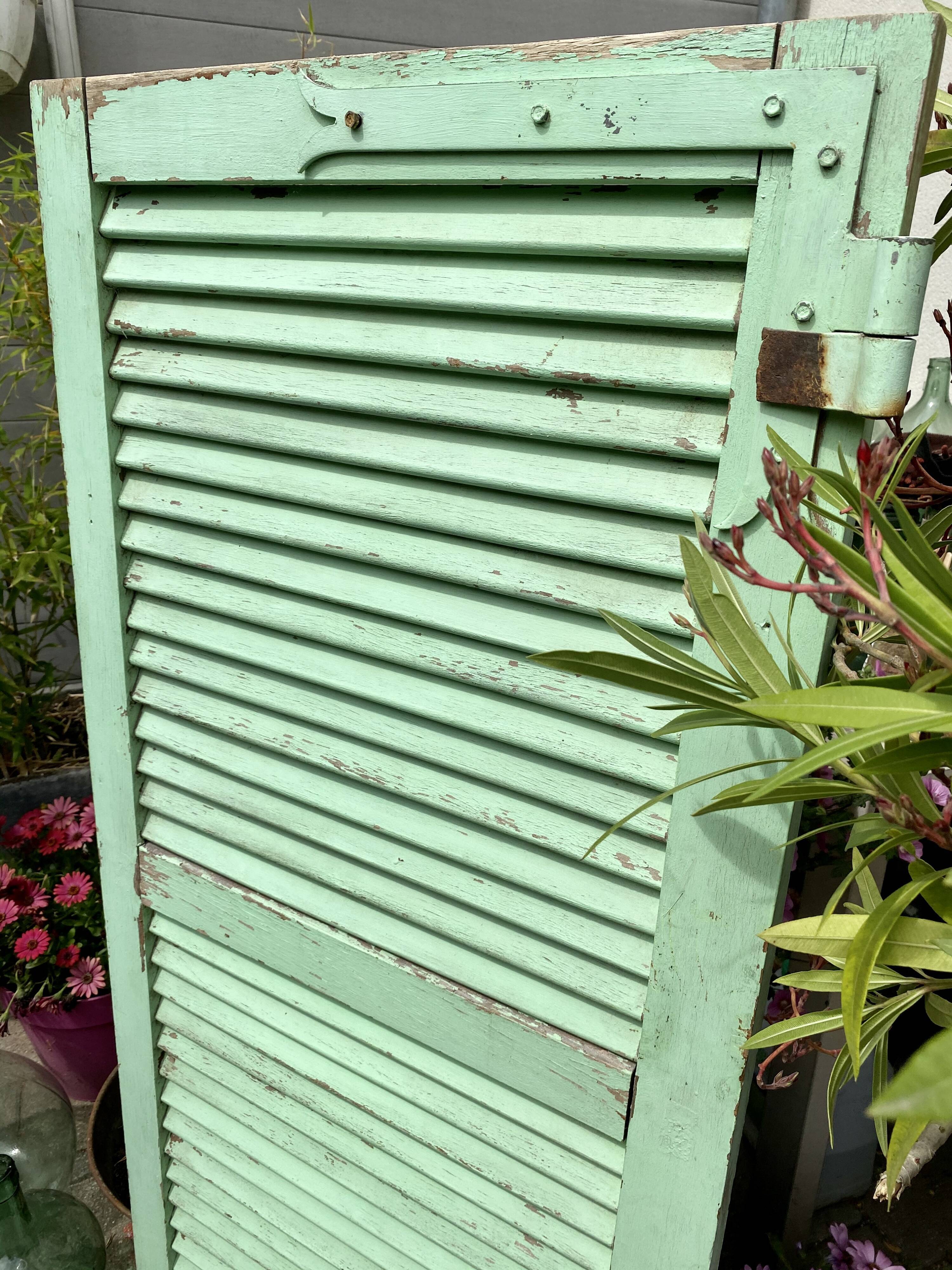 Ancient persian-coloured wood-wood mint