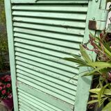 Ancient persian-coloured wood-wood mint