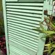 Ancienne persienne bois couleur vert mint