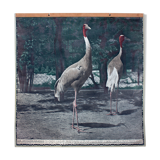 Displays educational crane