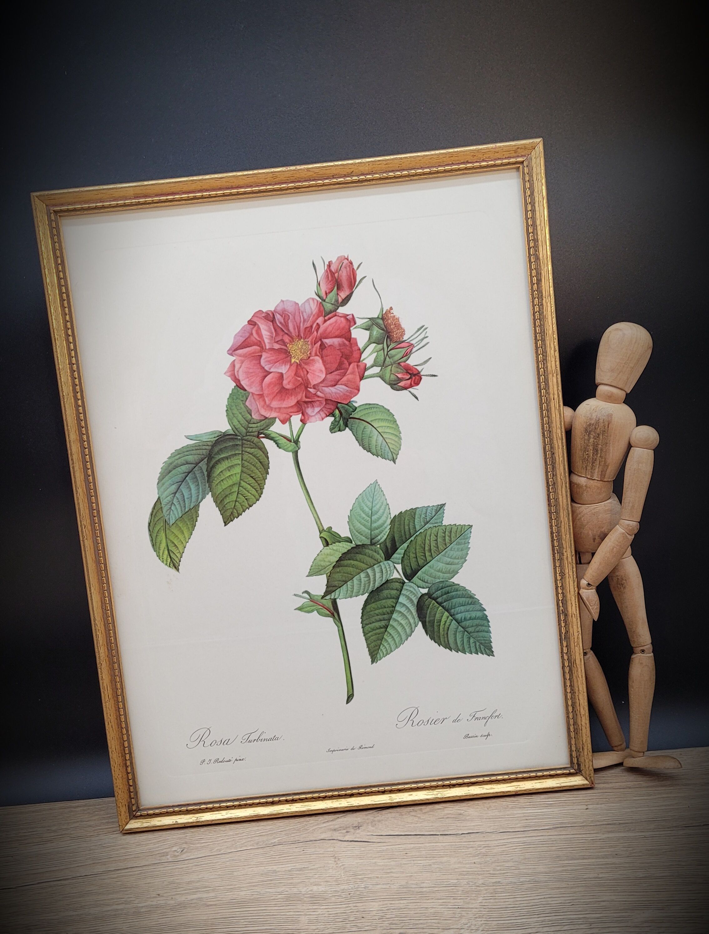 Lithograph Rosier Frankfurt