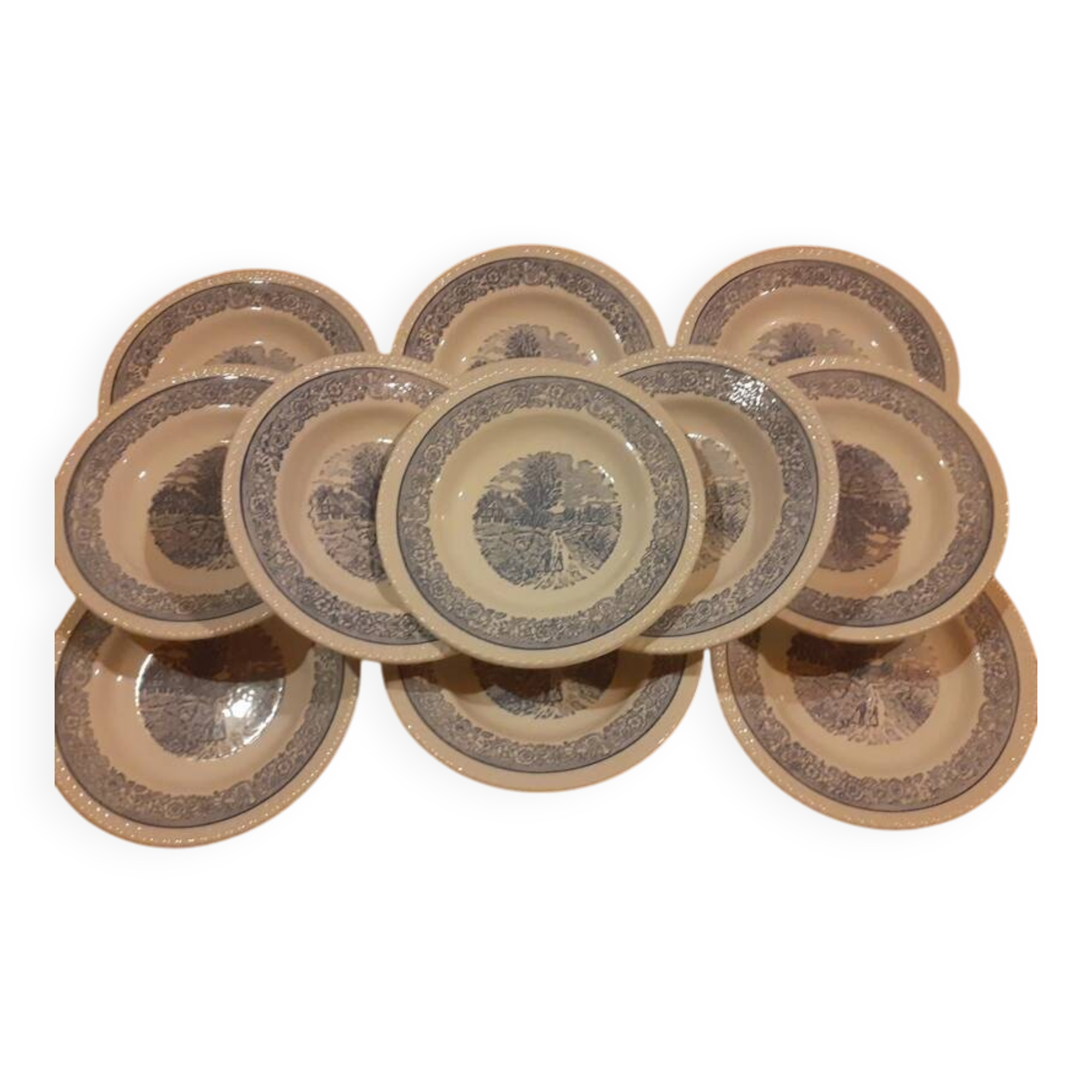 Set of 6 vintage English style soup plates