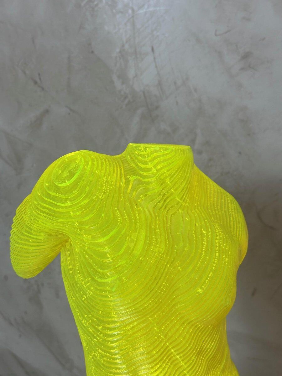 Acrylic male bust by Olivier Duhamel