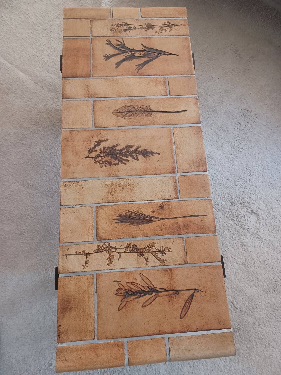 Vallauris herbarium coffee table by Roger Capron