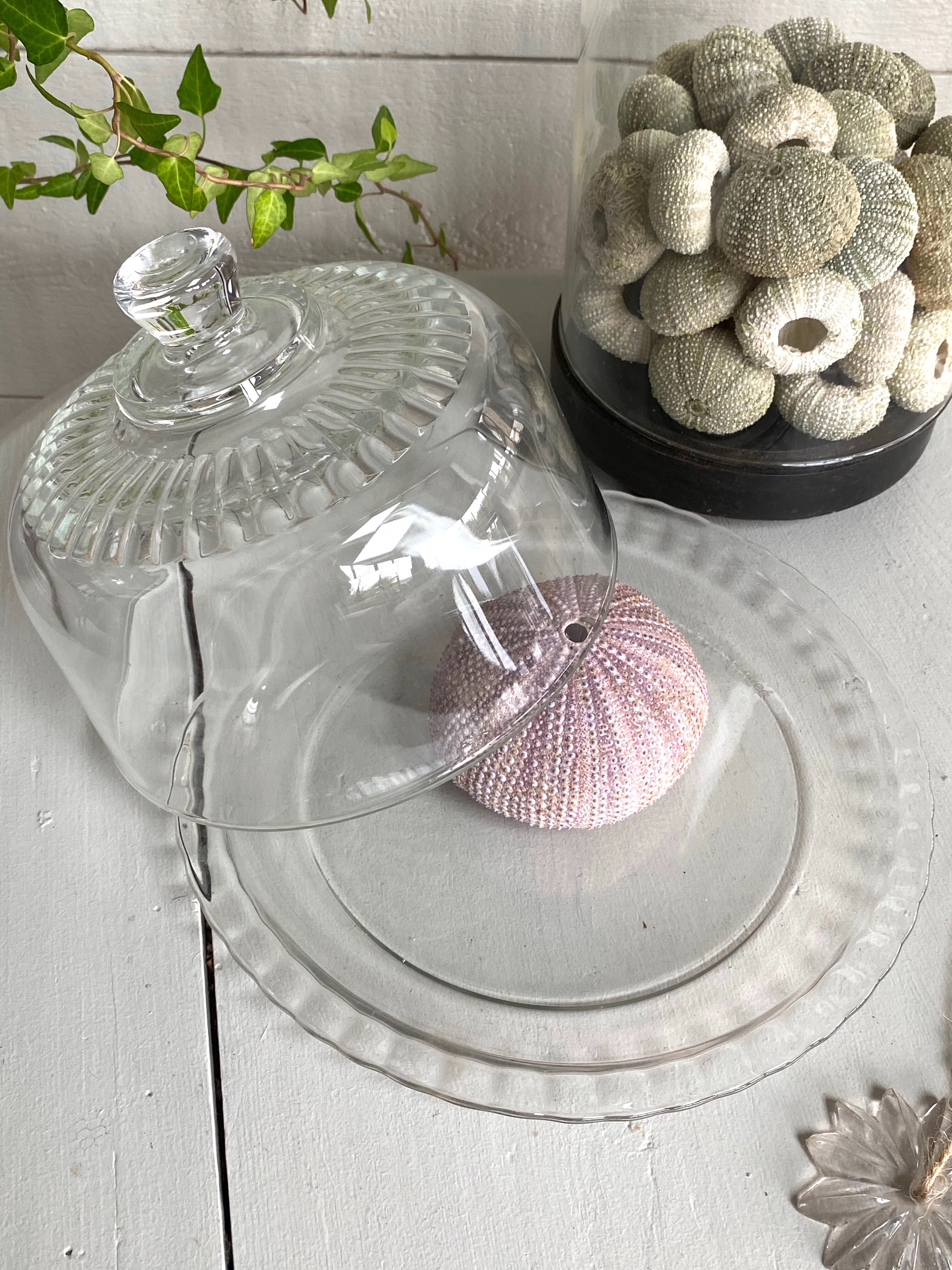 Glass bell with plate
