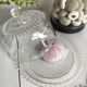 Glass bell with plate