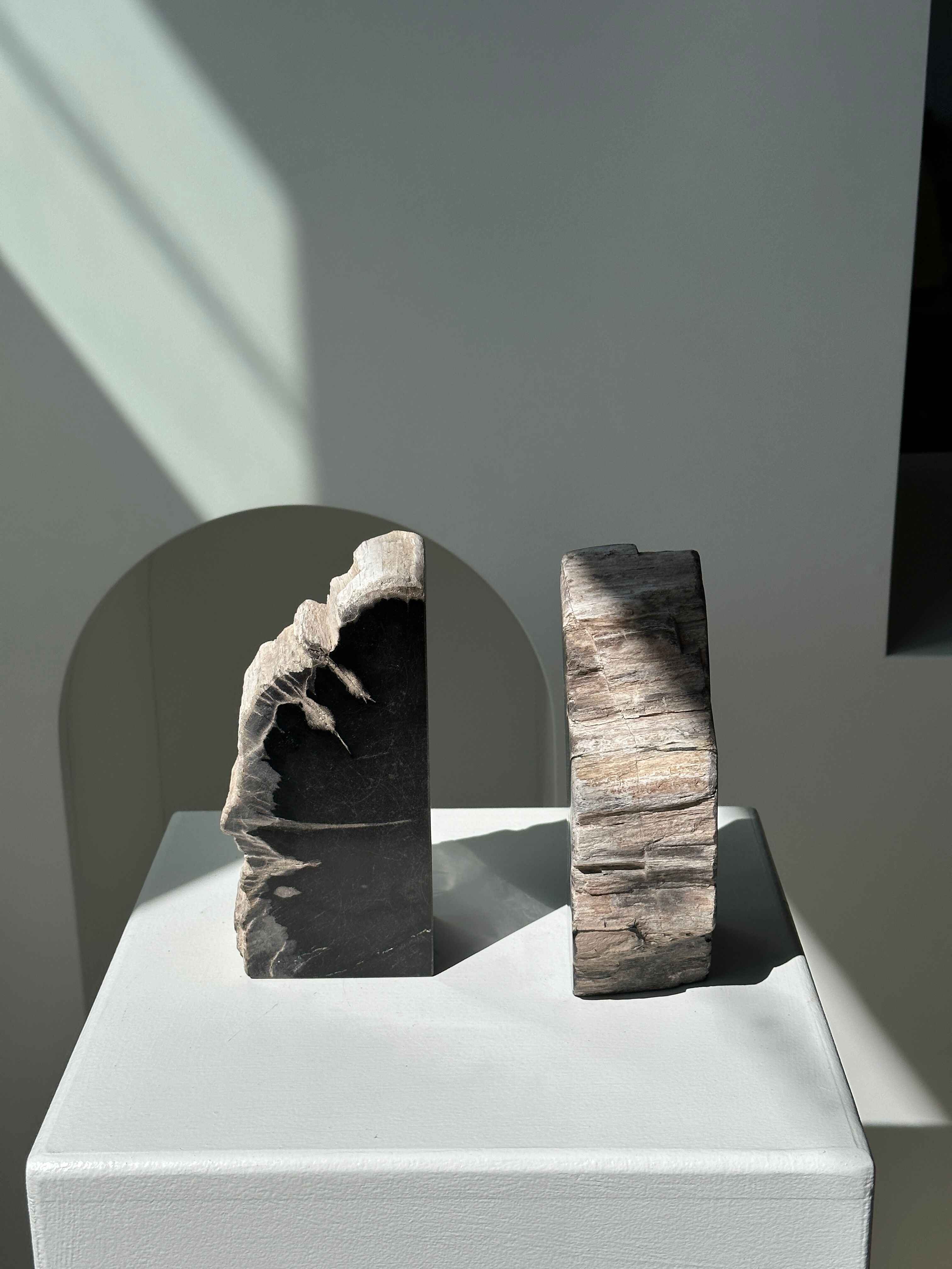 Black petrified wood bookend H17 L17 P6