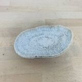 Natural White Fungia Coral