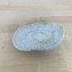 Natural White Fungia Coral