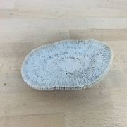 Corail Fungia blanc naturel