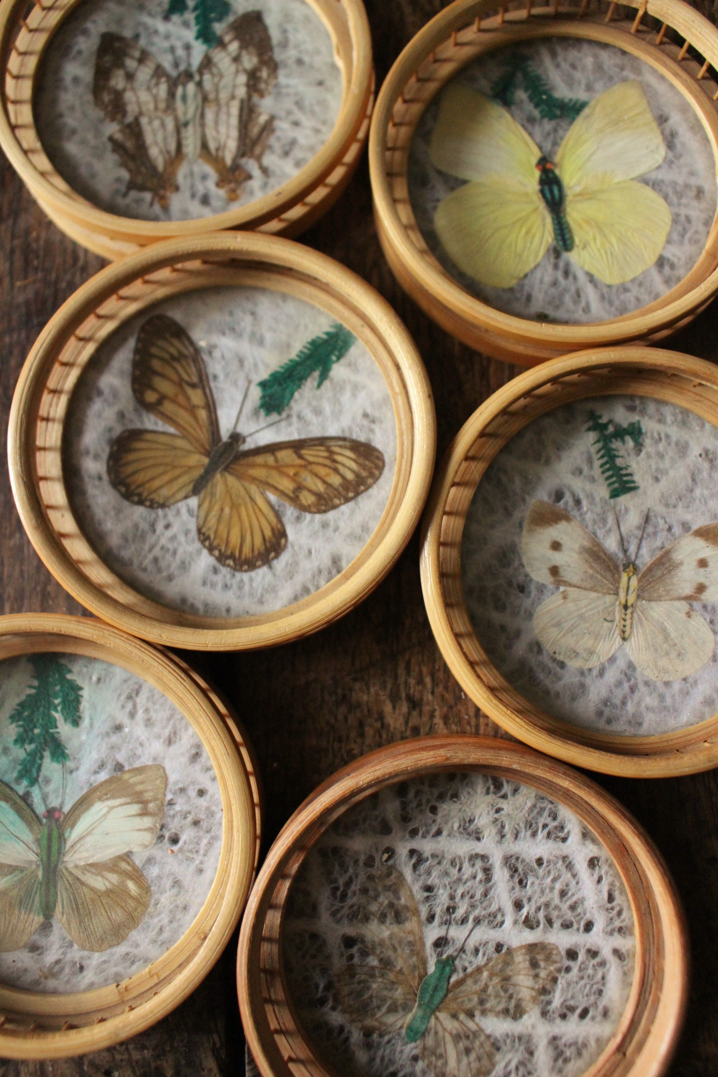 Un lot de 6 dessous de verre ronds bambou vintage papillons