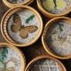 Un lot de 6 dessous de verre ronds bambou vintage papillons