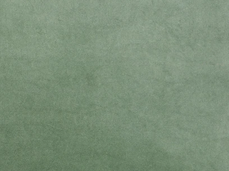 Coussin en velours 50x50cm couleur vert clair