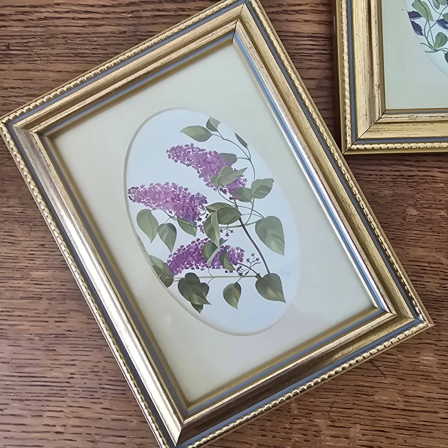 Set of 2 gilded frames under glass – V. Mappin purple flowers – 21.5 x 16.5 cm