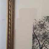 Engraving signed