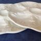 Set of 2 French vintage plates in gien white dabbling