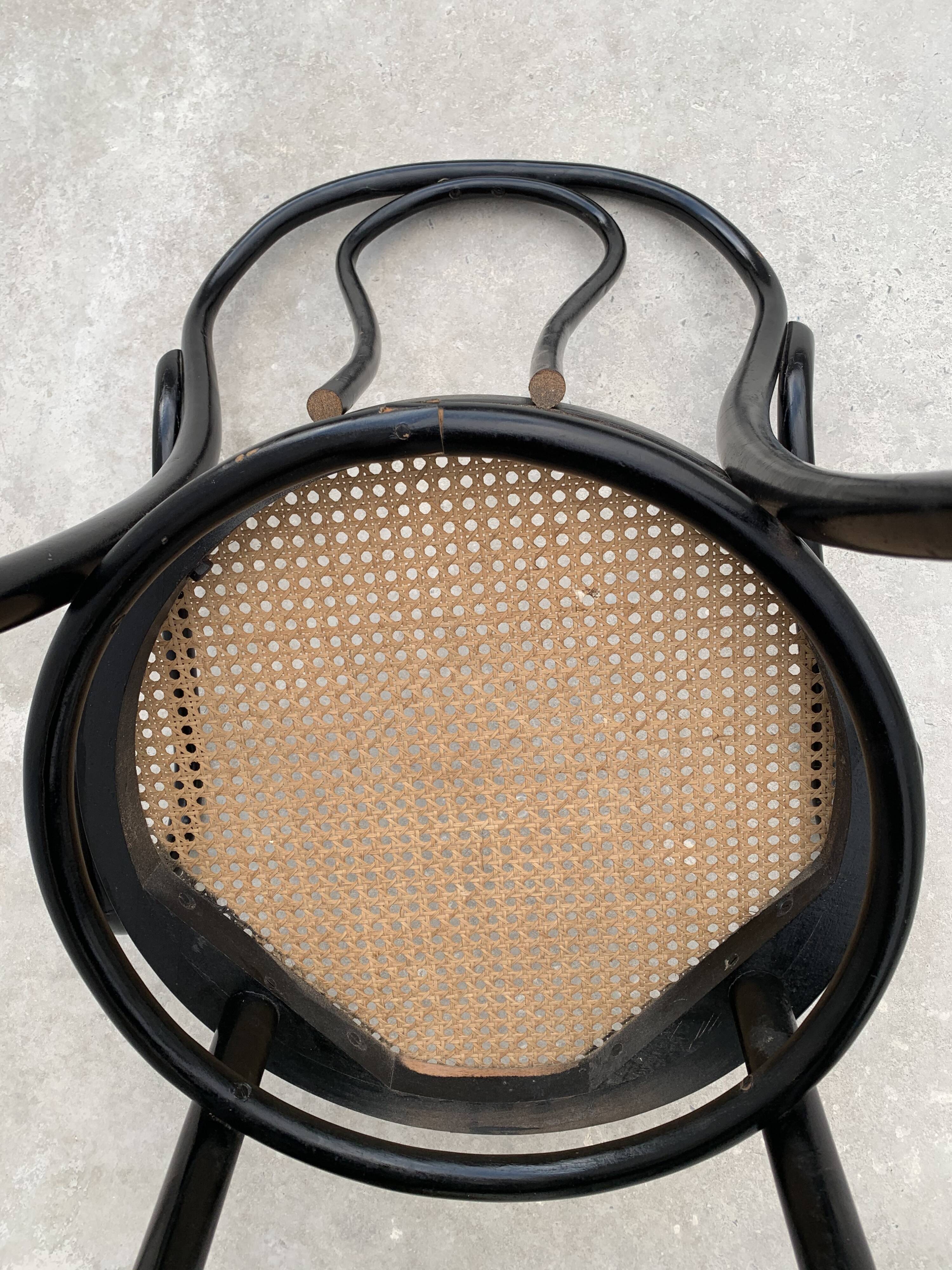 Tuna chair model 1018 in black curved wood and canning 1930