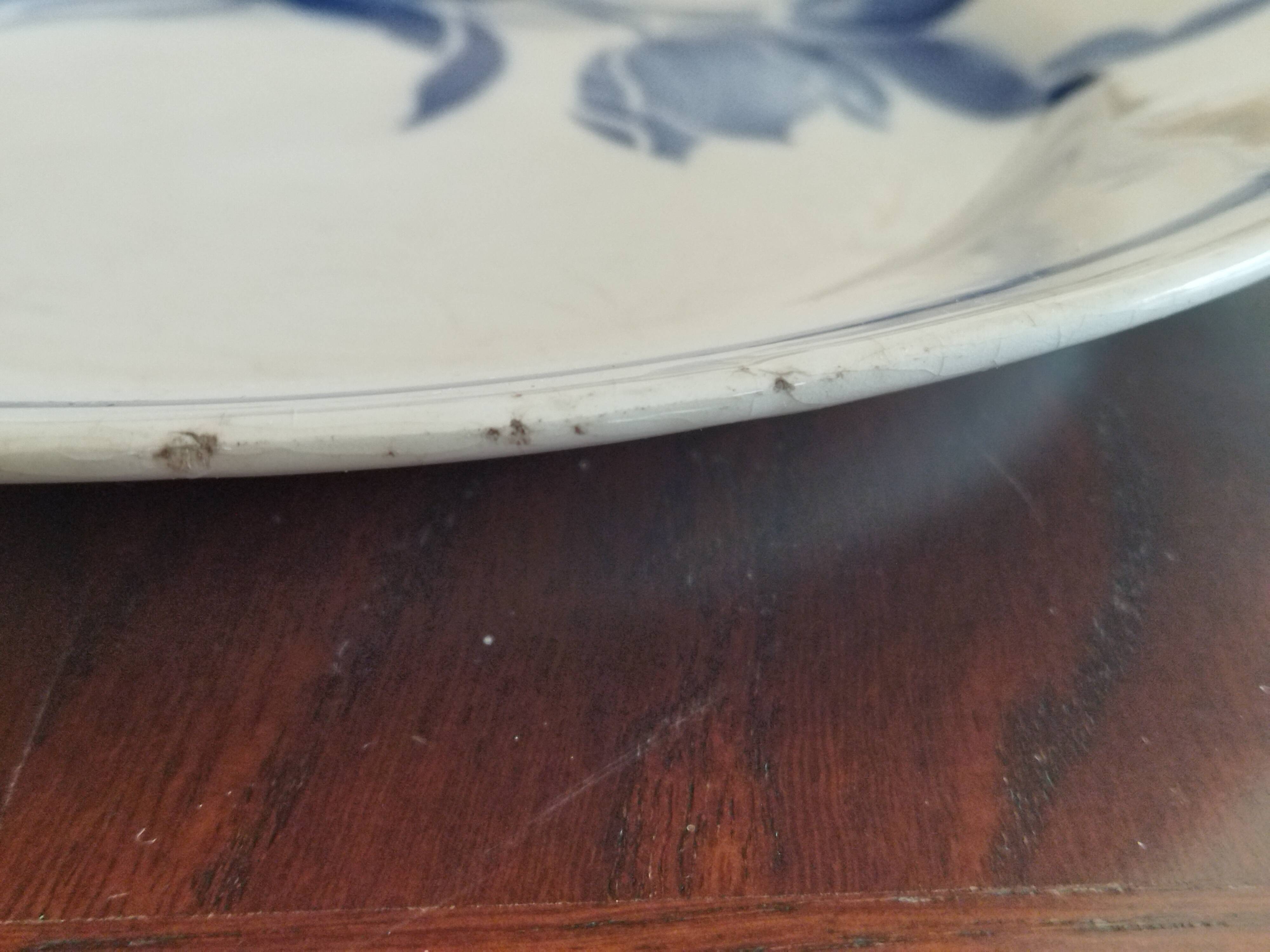 8 French earthenware dinner plates (Gien Sarreguemines Digoin Moulin des Loups Orchies)