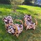 Pair of Art Deco cowhide armchairs