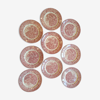 9 assiettes en porcelaine anglaise rose