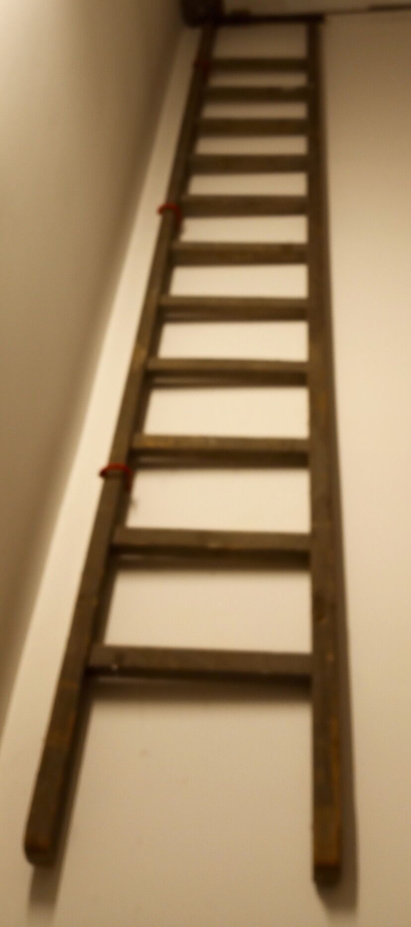 Old wooden flat roof ladder
