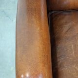 Especially comfortable wingback chair made of sheepskin leather, stunning colors
