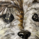Portrait de chien