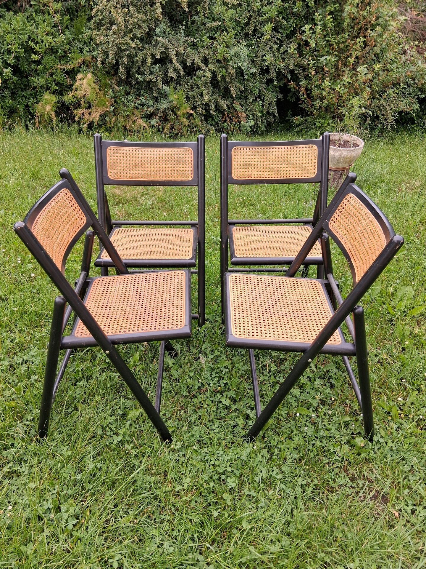 Chaises pliantes cannée