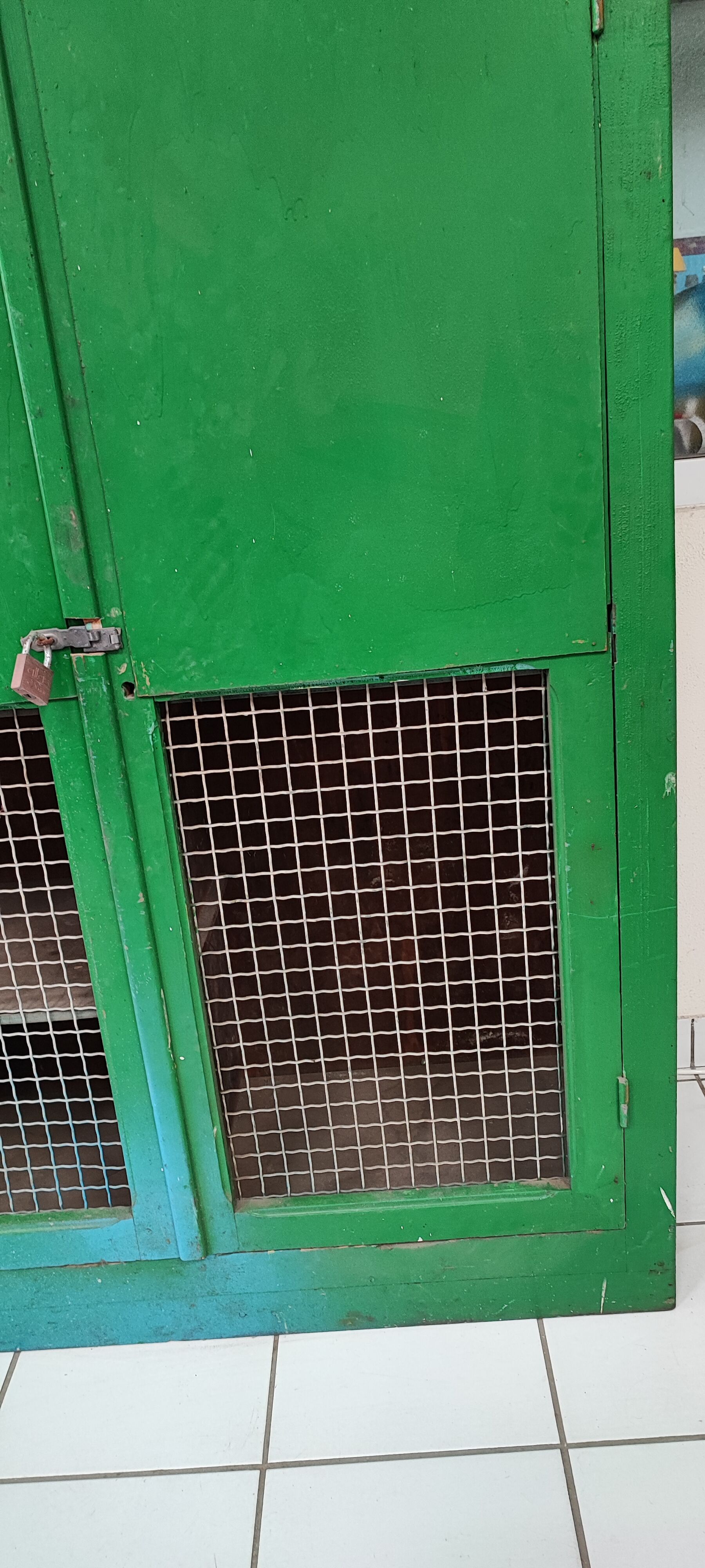 Wood workshop cabinet and mesh doors