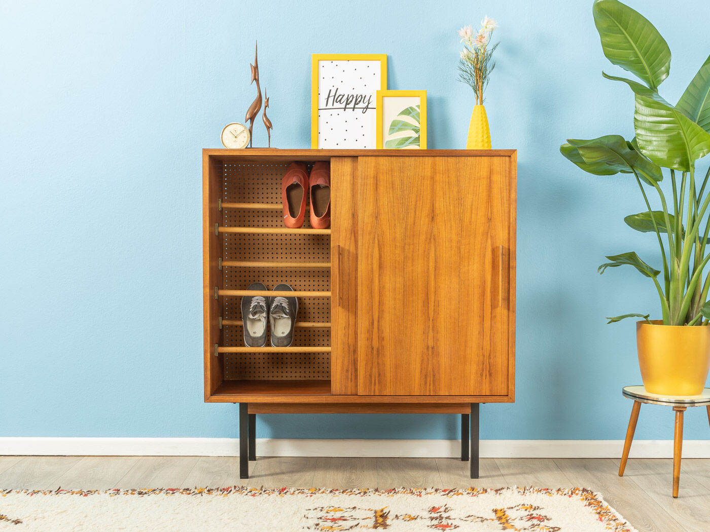 1960s shoe cabinet