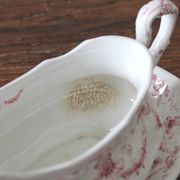 Saucière en terre de fer anglaise Ridgways modèle "Lafayette"