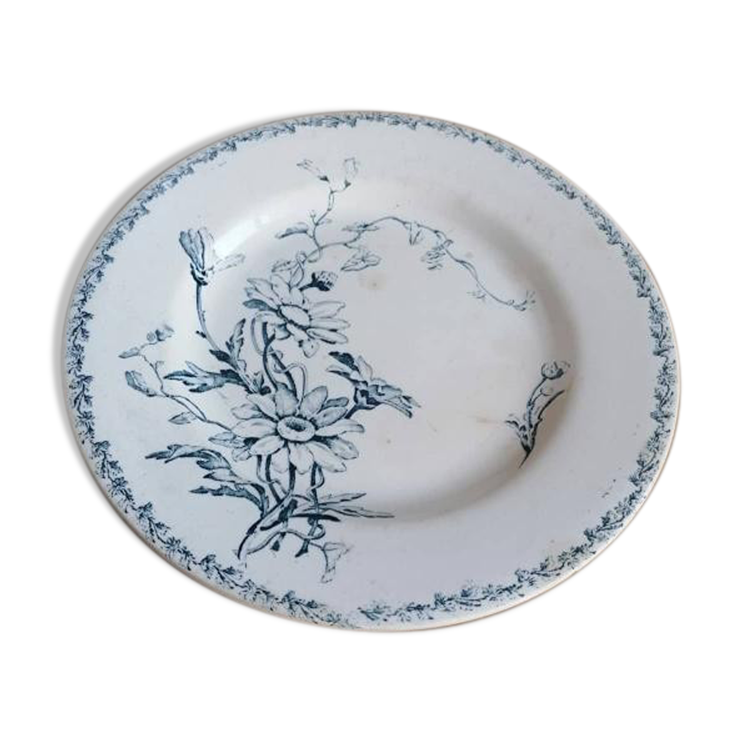 Rare earthenware plate iron earth model Marguerite LG Lunéville / blue transfer / botany