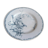 Rare earthenware plate iron earth model Marguerite LG Lunéville / blue transfer / botany