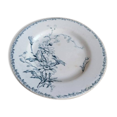 Rare earthenware plate iron earth model Marguerite LG Lunéville / blue transfer / botany