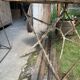 Rectangular folding garden table