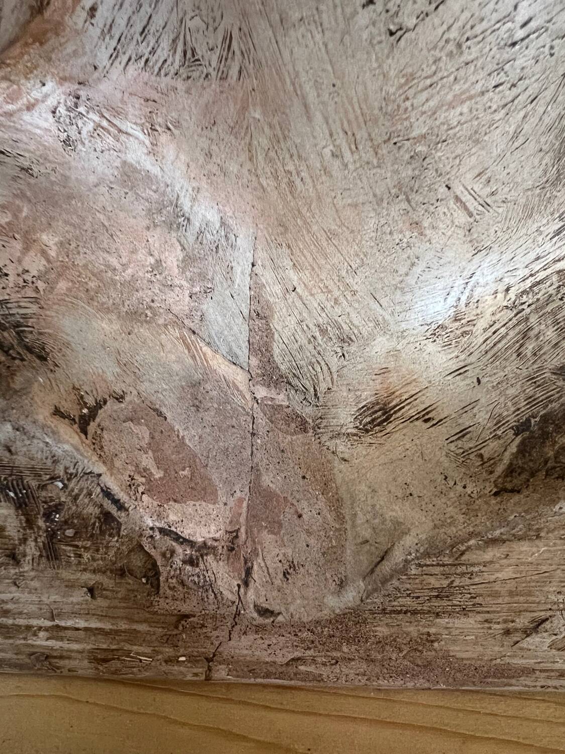 Plaster virgin