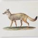 Bestiary plates from the Natural History Museum The fox