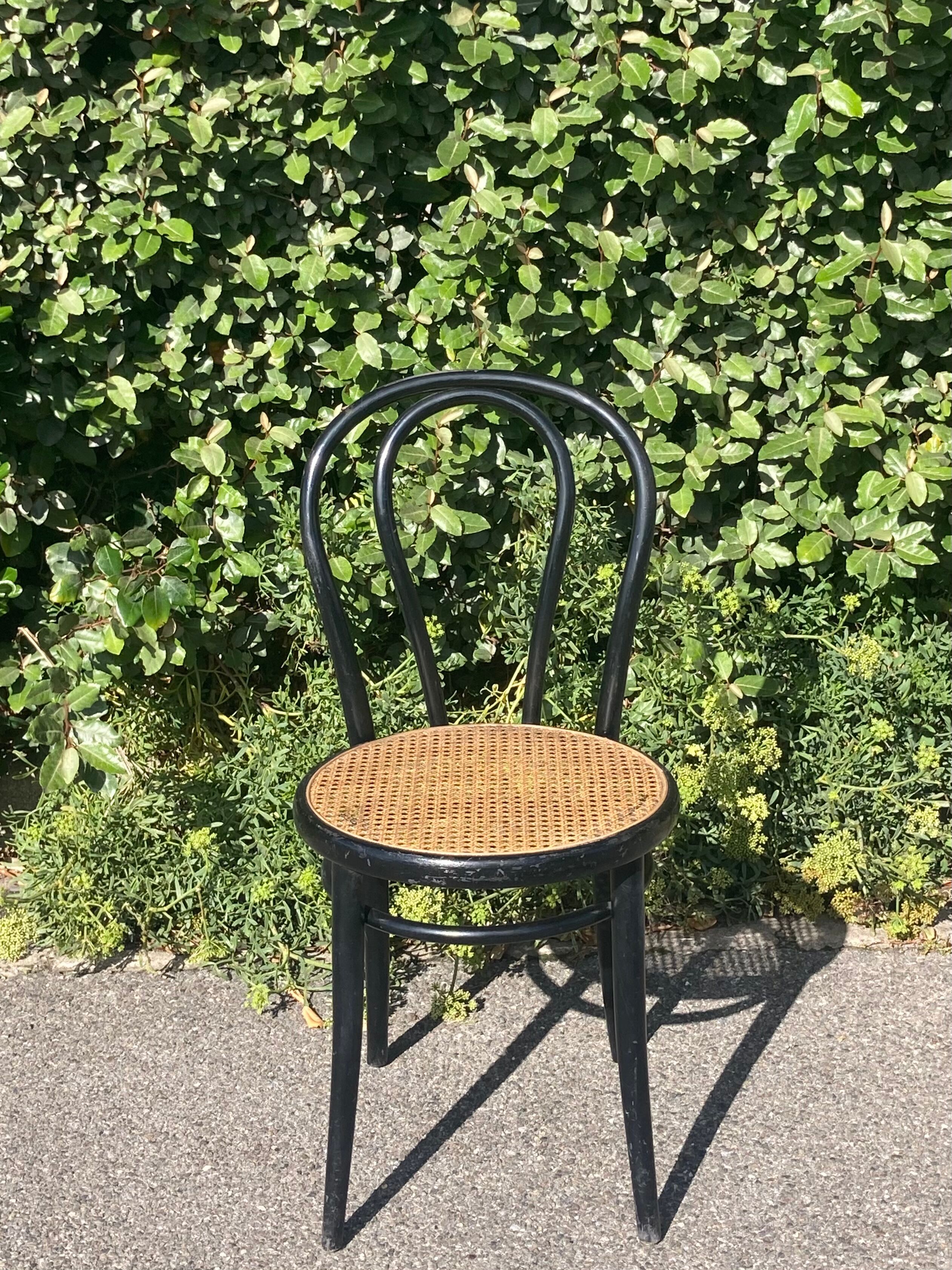 Curved wooden canework chair