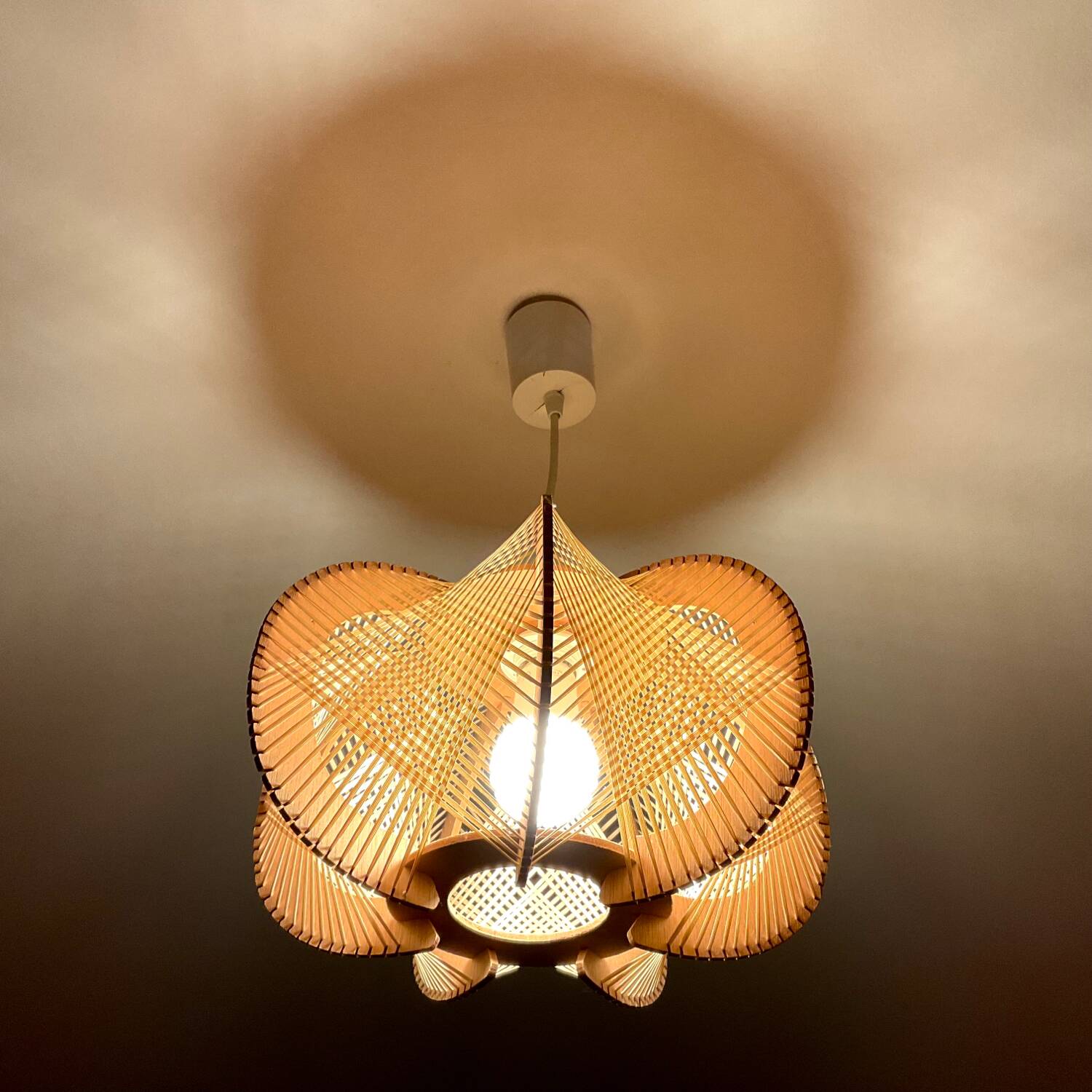 Pendant light, vintage lampshade