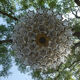 Design chandelier by Glashütte Limburg from 1960