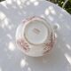 Immense brocade from the 19th century signed Bertrand Bordeaux Anemone ironstone.