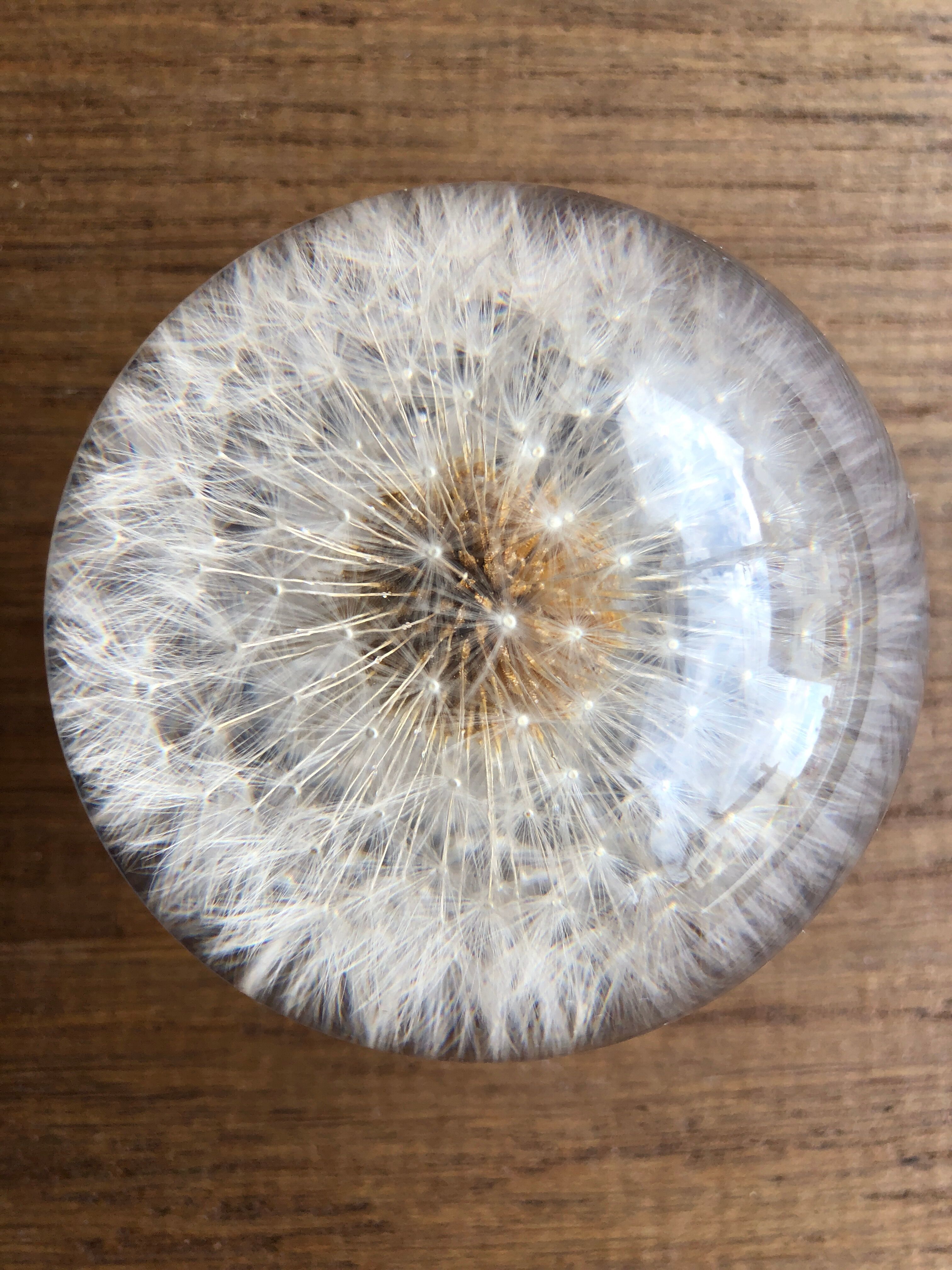 Decorative paper press, glass