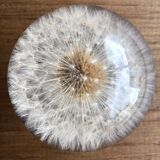 Decorative paper press, glass