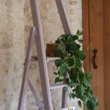 Painter's stepladder